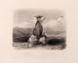 Item #15613 Magic Pile Erected by the Assiniboin Indians. Karl BODMER