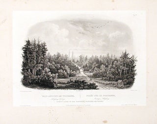 Item #15632 Forest Scene on the Tobihanna; Alleghany Mountains. Karl BODMER