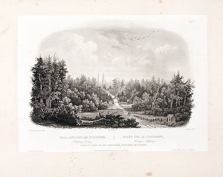 Item #15632 Forest Scene on the Tobihanna; Alleghany Mountains. Karl BODMER.