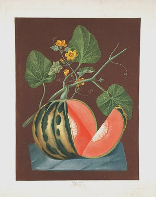 Item #16490 [Melon] Polinac Melon. After George BROOKSHAW