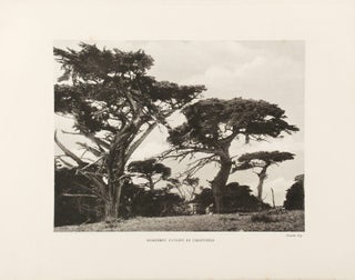 The Trees of Great Britain & Ireland