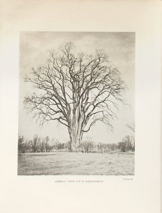 The Trees of Great Britain & Ireland