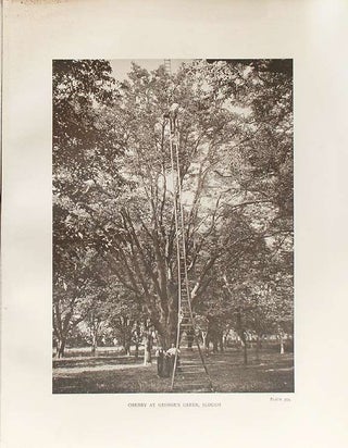 Item #16730 The Trees of Great Britain & Ireland. Henry John ELWES, Augustine HENRY