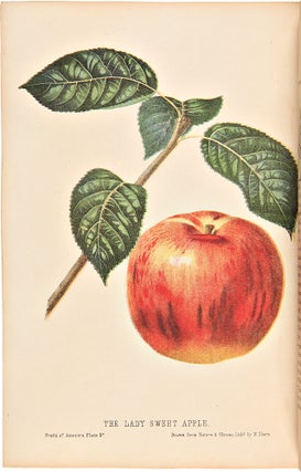 Item #16917 The Fruits of America, containing richly colored figures, and full descriptions of...