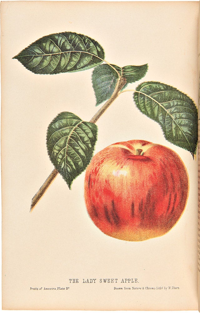 Item #16917 The Fruits of America, containing richly colored figures, and full descriptions of all the choicest varieties cultivated in the United States. Charles Mason HOVEY.