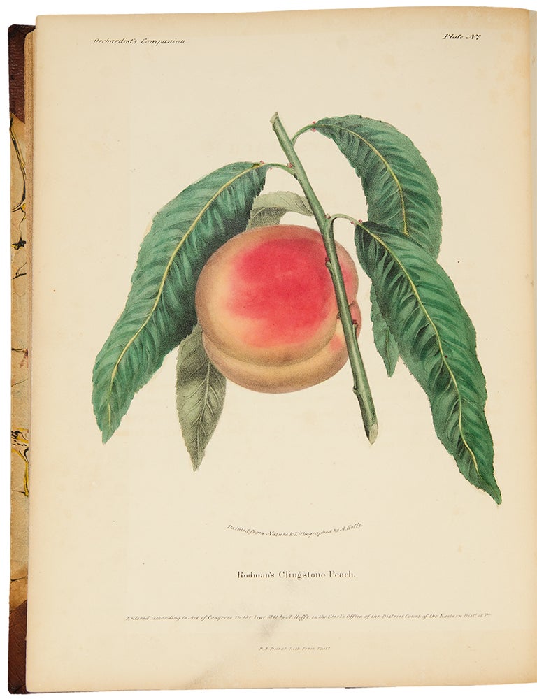 Item #17751 The Orchardist's Companion a quarterly journal, devoted to the history, character, properties, modes of cultivation, and all other matters appertaining to the fruits of the United States, embellished with richly colored designs of the natural size, painted from the actual fruits when in their finest condition. Alfred HOFFY, fl.