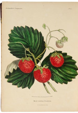 The Orchardist's Companion a quarterly journal, devoted to the history, character, properties, modes of cultivation, and all other matters appertaining to the fruits of the United States, embellished with richly colored designs of the natural size, painted from the actual fruits when in their finest condition