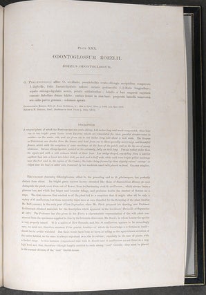 A Monograph of the Odontoglossum