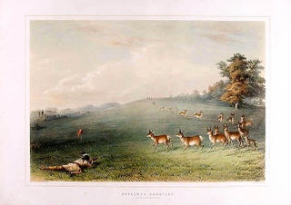 Item #18320 Antelope Shooting. George CATLIN