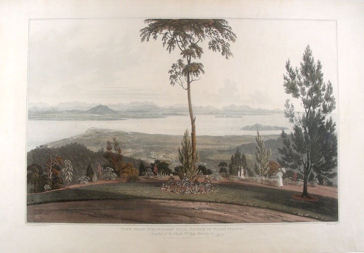 Item #18821 [Malaysia] View from Strawberry Hill, Prince of Wale's Island. William . - after Captain Robert SMITH DANIELL, engraver.