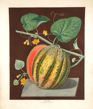 Item #18892 [Melon] Scarlet Flesh Romana. After George BROOKSHAW