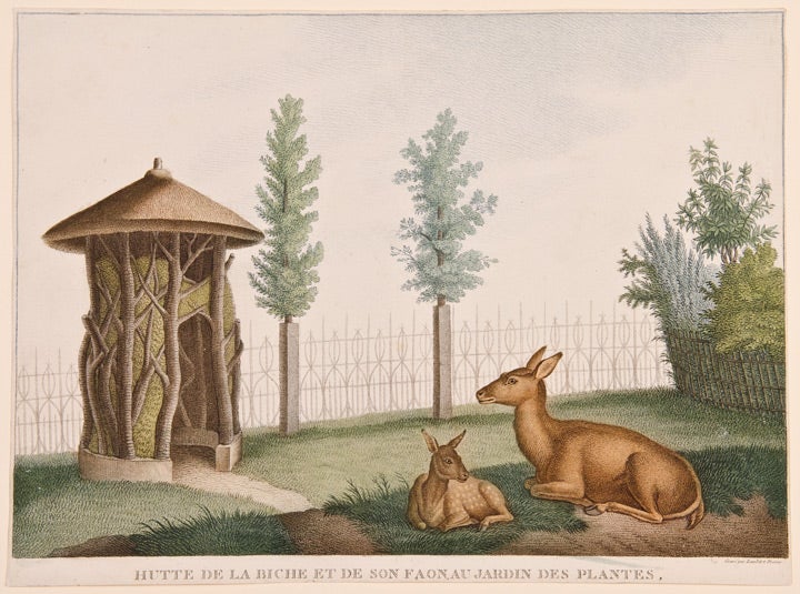 Item #19130 [Set of four prints of animals in the 'Jardin des Plantes' in Paris]. After Nicolas HUET.