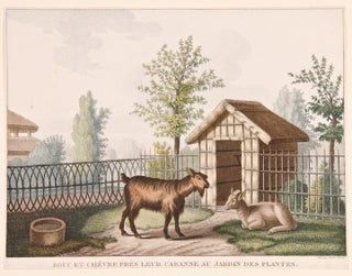 [Set of four prints of animals in the 'Jardin des Plantes' in Paris]