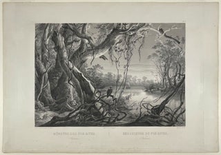 Item #19236 [Mouth of the Fox River (Indiana)]. Karl BODMER