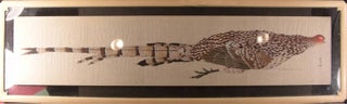 Item #19407 [Portion of a Japanese hand scroll painting of a pheasant]. ORNITHOLOGY