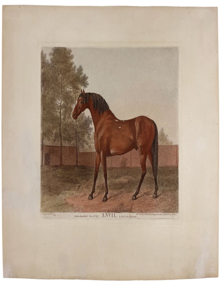 Item #19560 Anvil. George STUBBS, George Townly STUBBS.