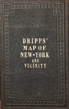 Topographical Map of New York and Vicinity Embracing Fifteen Cities and Above 1700 Square Miles