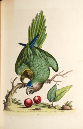 A Natural History of Uncommon Birds, and of Some Other Rare and Undescribed Animals