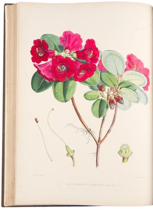 The Rhododendrons of Sikkim-Himalaya; being an account, botanical and geographical of the Rhododendrons recently discovered in the mountains of eastern Himalaya, from drawings and descriptions made on the spot, during a government botanical mission to that country, by Joseph Dalton Hooker... Edited by Sir W.J. Hooker