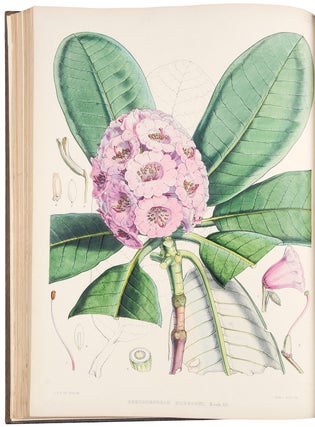 The Rhododendrons of Sikkim-Himalaya; being an account, botanical and geographical of the Rhododendrons recently discovered in the mountains of eastern Himalaya, from drawings and descriptions made on the spot, during a government botanical mission to that country, by Joseph Dalton Hooker... Edited by Sir W.J. Hooker