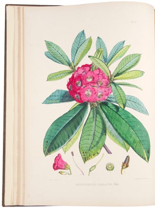 The Rhododendrons of Sikkim-Himalaya; being an account, botanical and geographical of the Rhododendrons recently discovered in the mountains of eastern Himalaya, from drawings and descriptions made on the spot, during a government botanical mission to that country, by Joseph Dalton Hooker... Edited by Sir W.J. Hooker