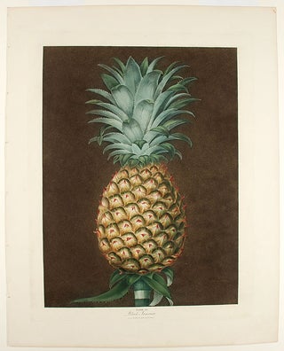Item #22388 [Pineapple] Black Jamaica Pine. After George BROOKSHAW