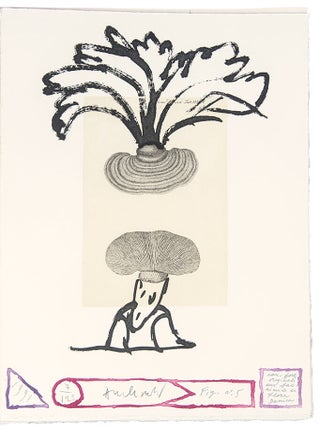 Flore Danoise