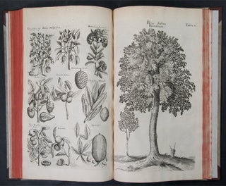 Historiae Naturalis de Arboribus et Plantis. Libri X.