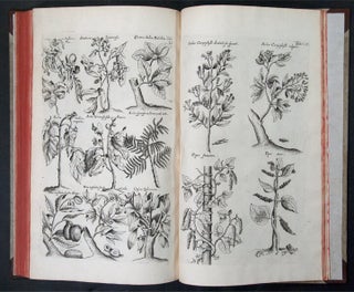 Historiae Naturalis de Arboribus et Plantis. Libri X.