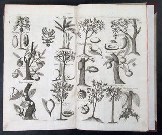 Historiae Naturalis de Arboribus et Plantis. Libri X.