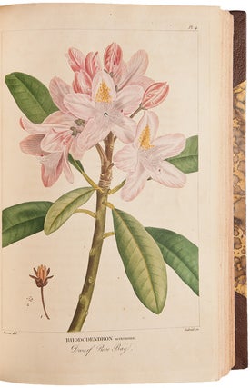 Histoire des Arbres Forestiers de l'Amerique Septentrionale, consideres principalement sous les rapports de leur usage dans les arts et de leur introduction dans le commerce ...