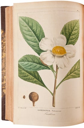 Histoire des Arbres Forestiers de l'Amerique Septentrionale, consideres principalement sous les rapports de leur usage dans les arts et de leur introduction dans le commerce ...