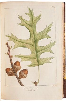 Histoire des Arbres Forestiers de l'Amerique Septentrionale, consideres principalement sous les rapports de leur usage dans les arts et de leur introduction dans le commerce ...