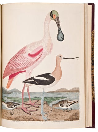American Ornithology; or the Natural History of the Birds of the United States. Illustrated with plates engraved and coloured from original drawings taken from nature