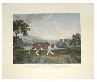 Item #27077 The Spanish Pointer, Engraved after an Original Picture of Mr. George Stubbs, in the...