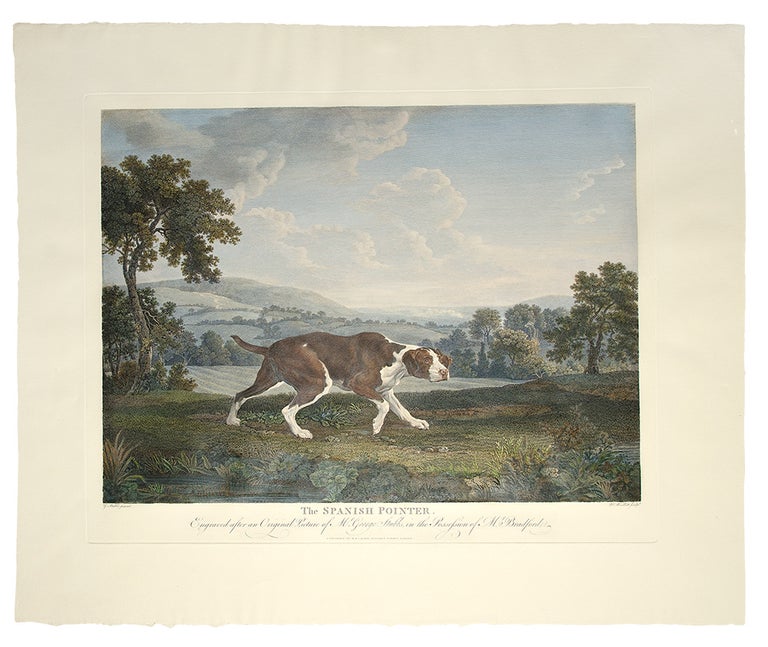 Item #27077 The Spanish Pointer, Engraved after an Original Picture of Mr. George Stubbs, in the Possession of Mr. Bradford. William WOOLLETT, after George Stubbs.