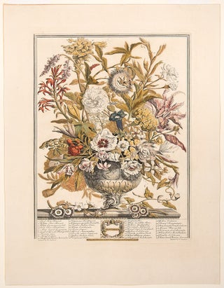 Item #27596 September. Robert - After Pieter CASTEELS FURBER, publisher