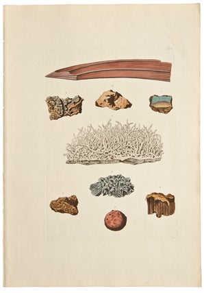 Item #27965 [Mineral Specimens] [Pl. 14]. Georg Wolfgang KNORR