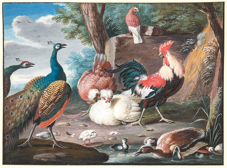 Item #28402 [Pair of bodycolour on vellum paintings of birds, including a peacock, roosters and other fowl, ducks, a hoopoe and other birds, within a landscape setting]. Marmaduke CRADOCK, after.