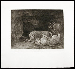Item #28446 Tygers at Play. George STUBBS
