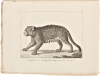 Voyages dans l'Amérique Méridionale, par Don Félix De Azara ... depuis 1781 jusqu'en 1801