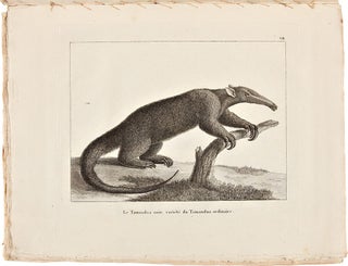Voyages dans l'Amérique Méridionale, par Don Félix De Azara ... depuis 1781 jusqu'en 1801