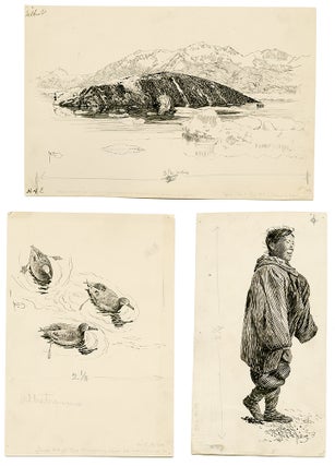 [Sixty-two Original Ink Drawings Illustrating the Harriman Alaska Expedition, 1899]