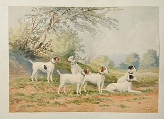 Celebrated Dogs of America