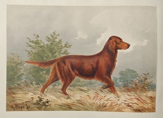 Celebrated Dogs of America