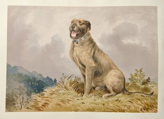 Celebrated Dogs of America