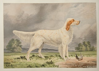 Celebrated Dogs of America
