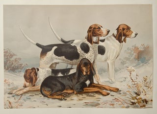 Celebrated Dogs of America