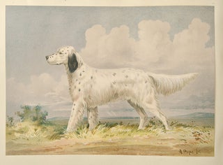 Celebrated Dogs of America