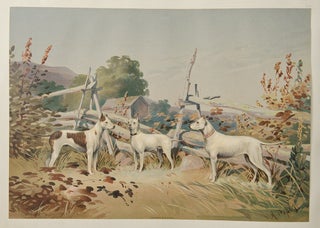Celebrated Dogs of America
